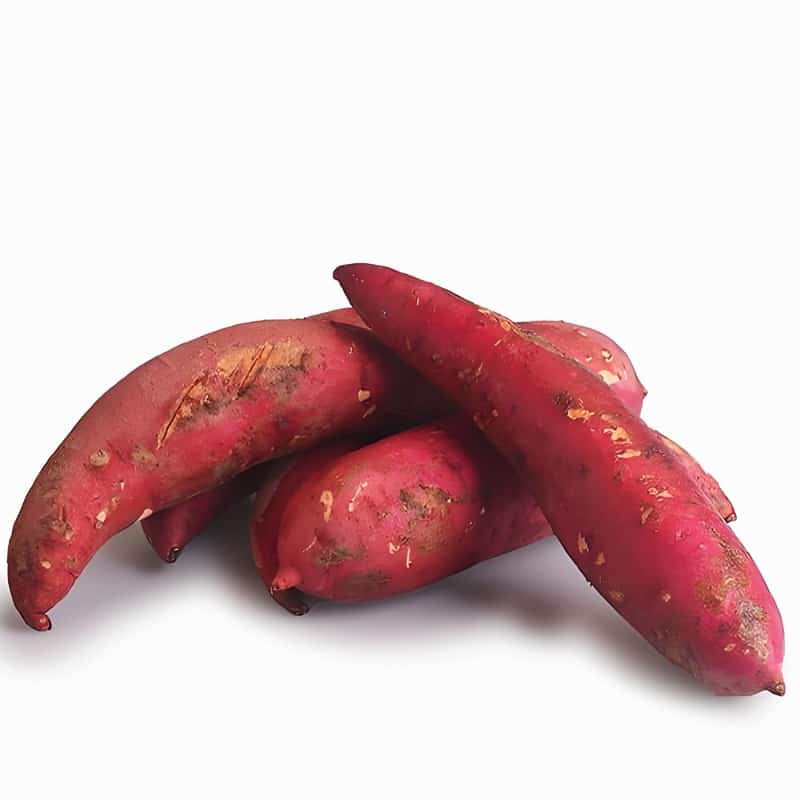 新康街道蔬菜配送站电话